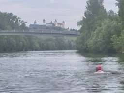 Mainschwimmen unsortiert