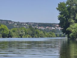 Mainschwimmen unsortiert