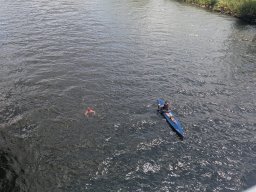 Mainschwimmen unsortiert
