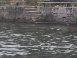 Mainschwimmen unsortiert