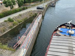 Mainschwimmen unsortiert