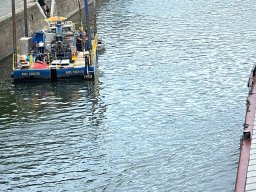 Mainschwimmen unsortiert