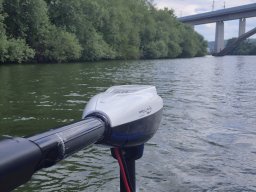 Mainschwimmen unsortiert
