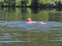 Mainschwimmen unsortiert