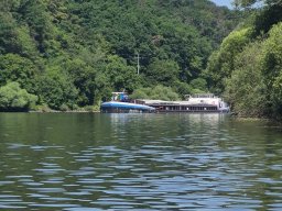 Mainschwimmen unsortiert
