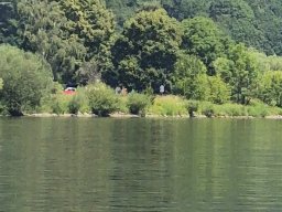 Mainschwimmen unsortiert