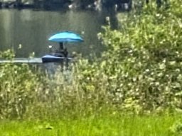 Mainschwimmen unsortiert