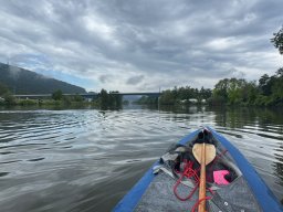 Mainschwimmen unsortiert